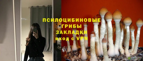 соль курить ск Киреевск
