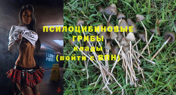 синтетический гашиш Кинешма