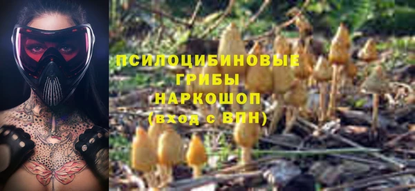 синтетический гашиш Кинешма