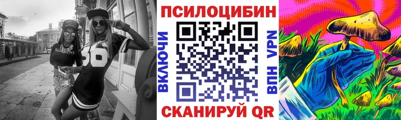 Купить где  Покров  Галлюциногенные грибы MAGIC MUSHROOMS 
